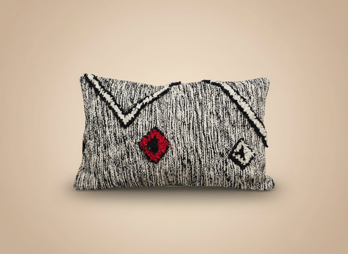 Zanfi Kussenhoes Zwart / Wit