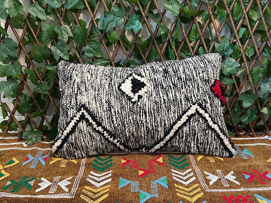 Zanfi Kussensloop Zwart / Wit